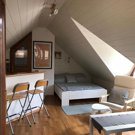 Privat Mini 307 Appartement Bešeňová Buitenkant foto